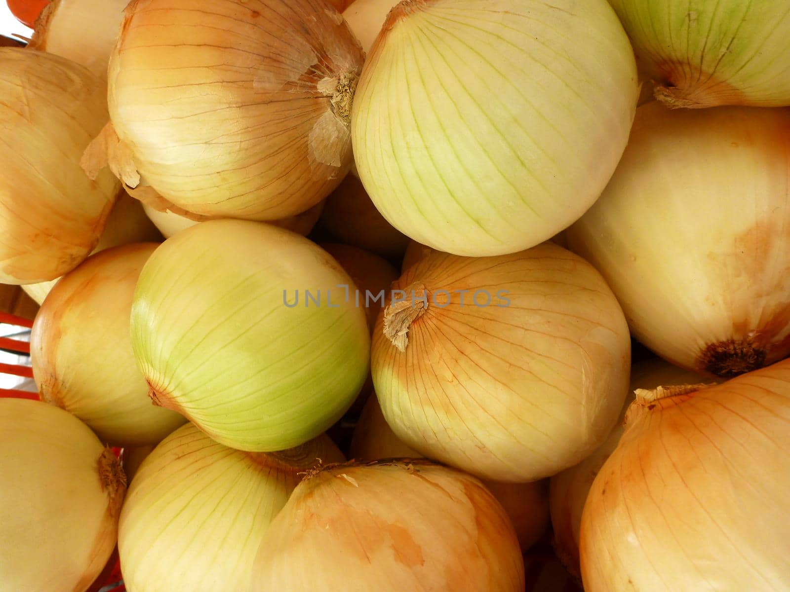 Pile of Fresh Onions  by EricGBVD