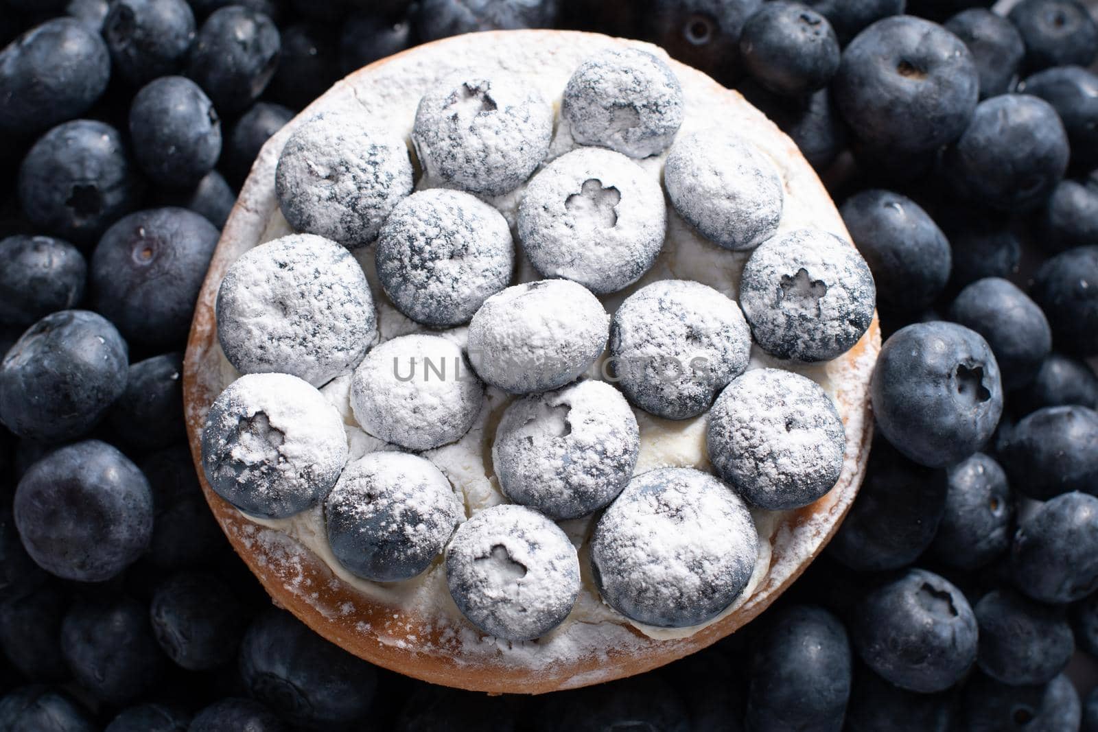 sweet dessert cake with pudding cream and blueberries sprinkled with powdered sugar, on a background of scattered blueberries, close up natural background. High quality photo