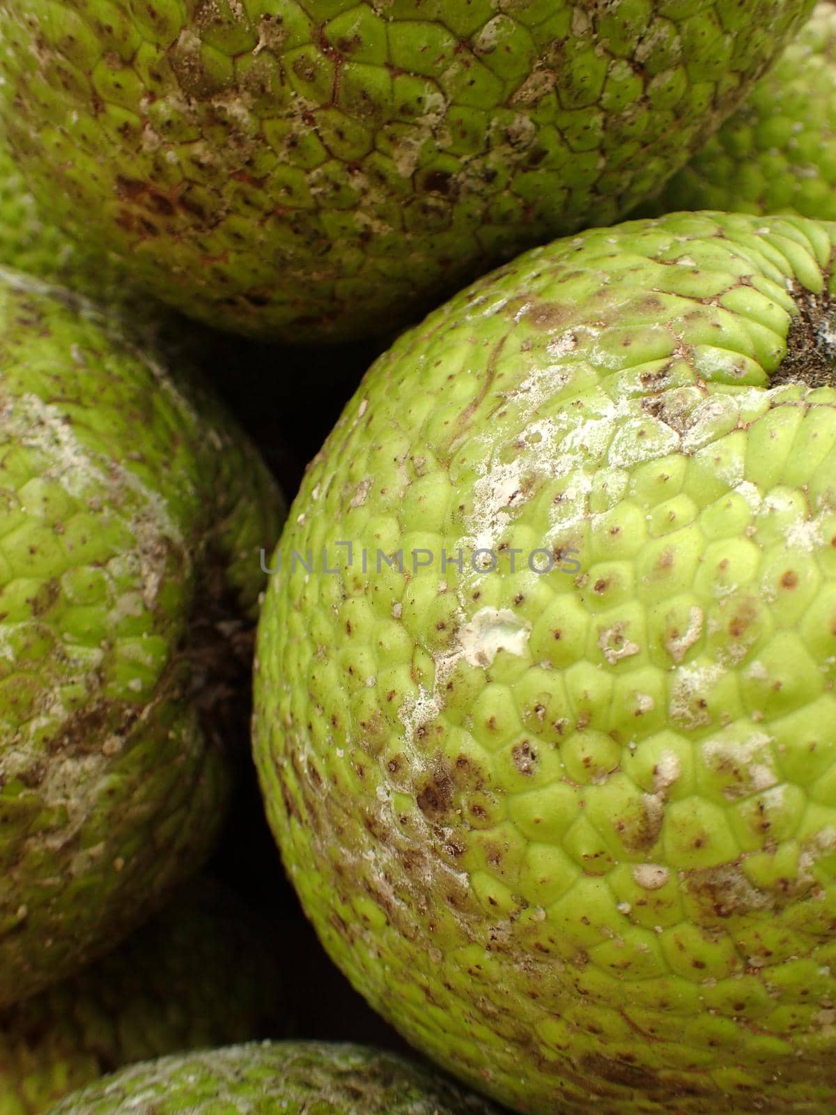 Pile of Breadfruits for sale at market on Maui