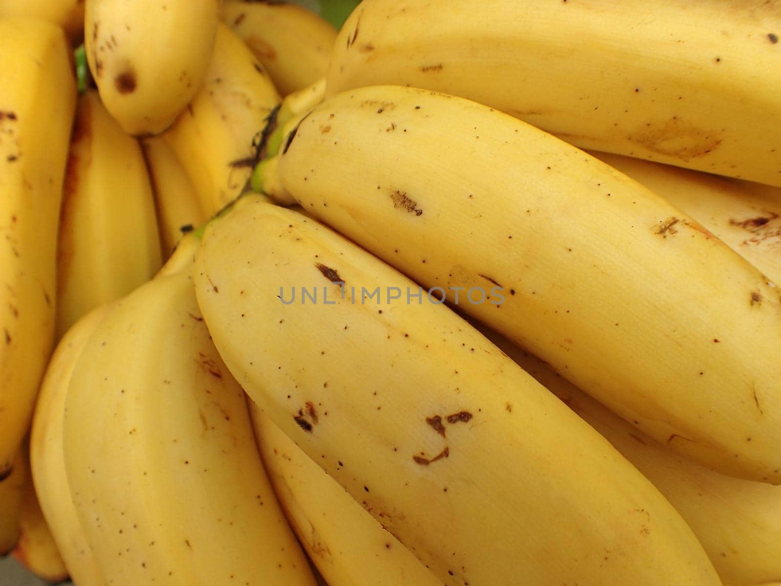 Yellow Ripe Bananas for sale at Farmers Market in Maui, Hawaii.