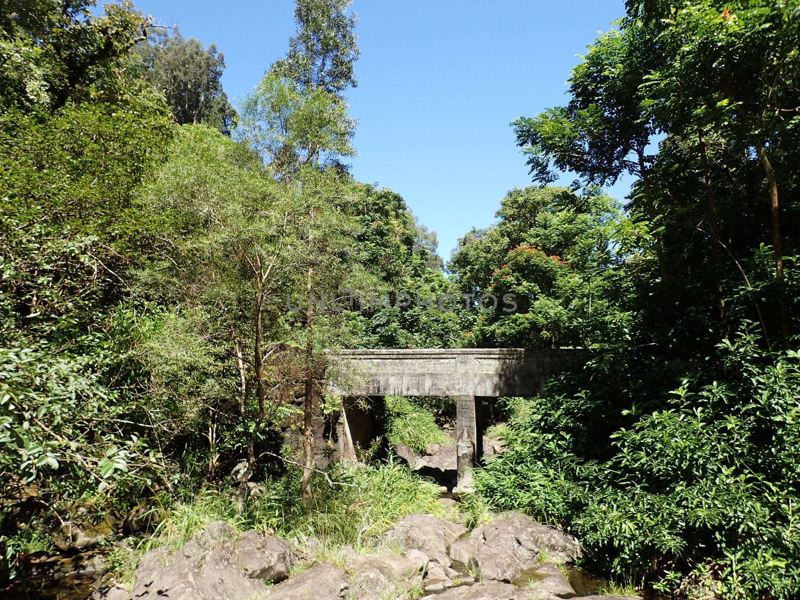 Bridge over small stream in forest in Maui on the Road to Hana. 