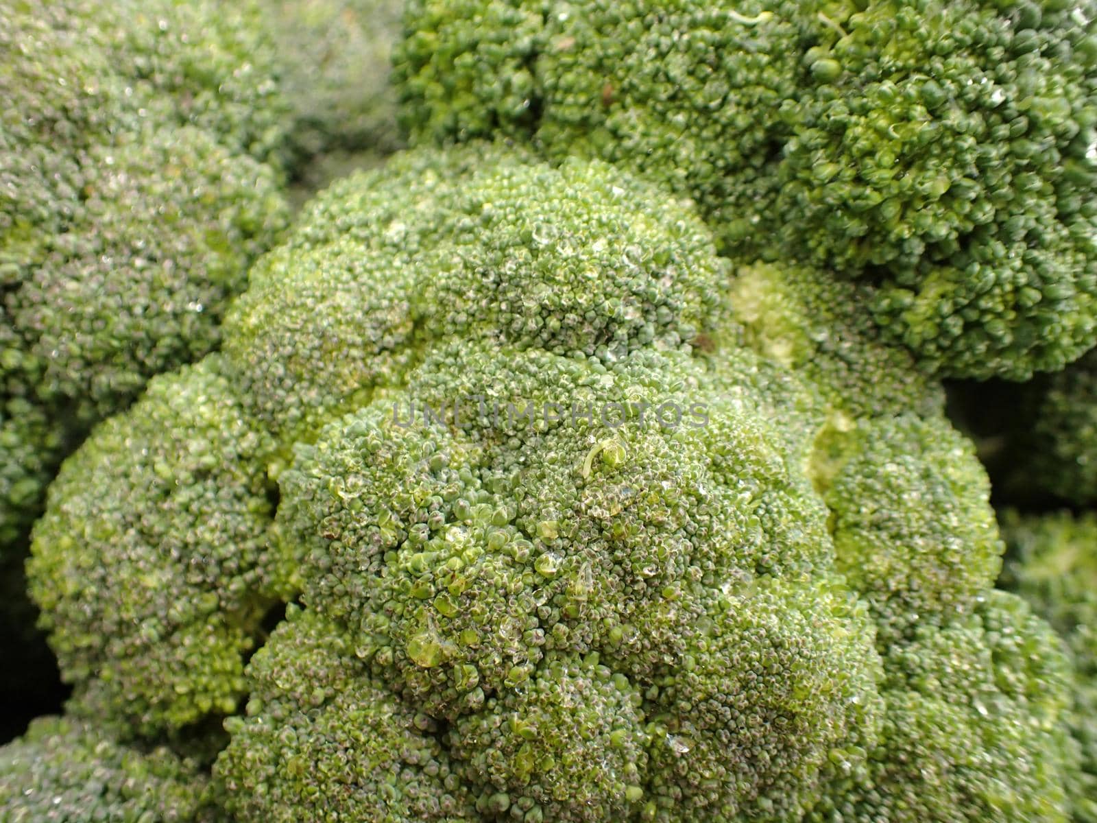 Group of fresh wet broccoli by EricGBVD