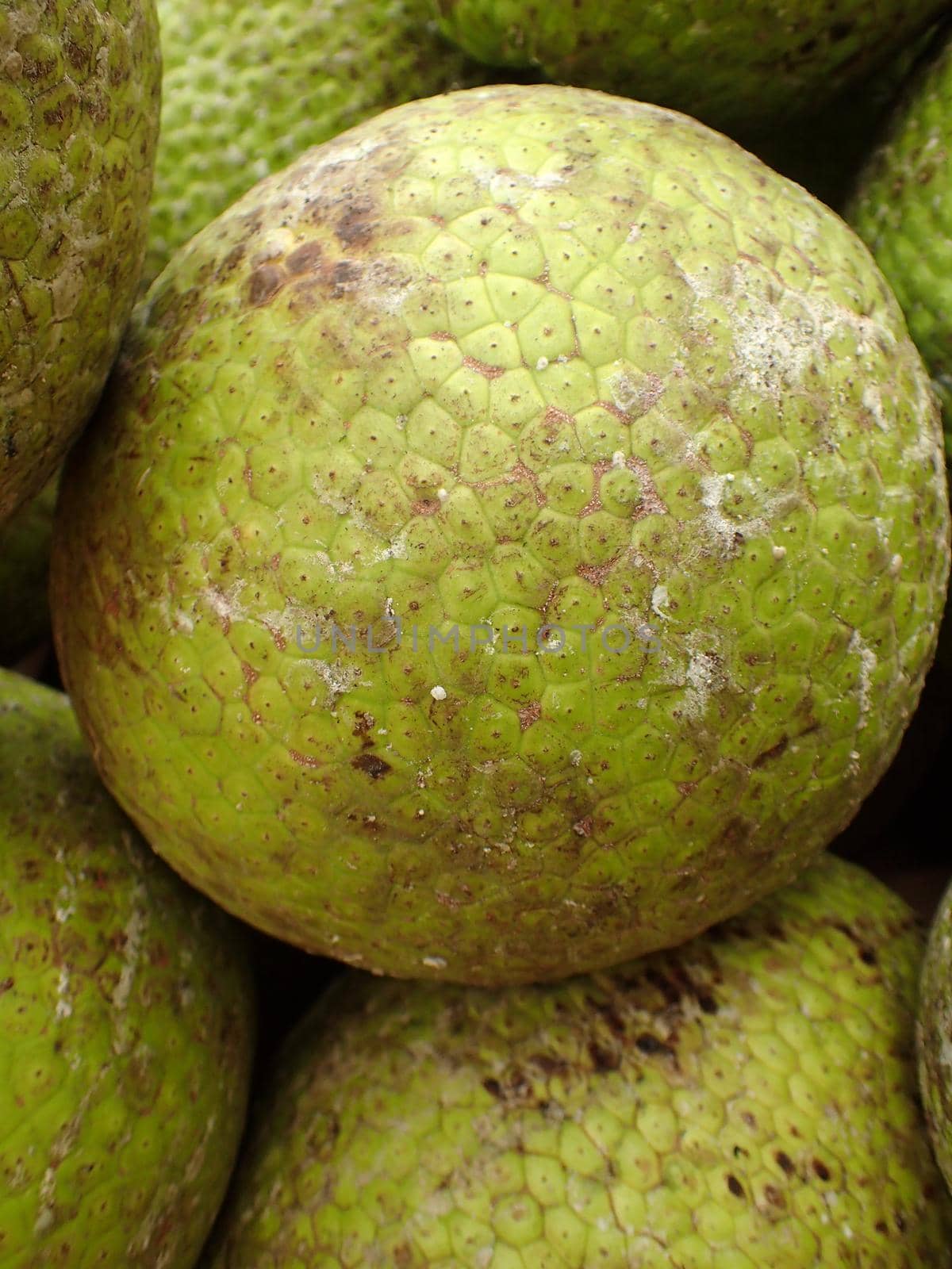 Pile of Breadfruits for sale at market