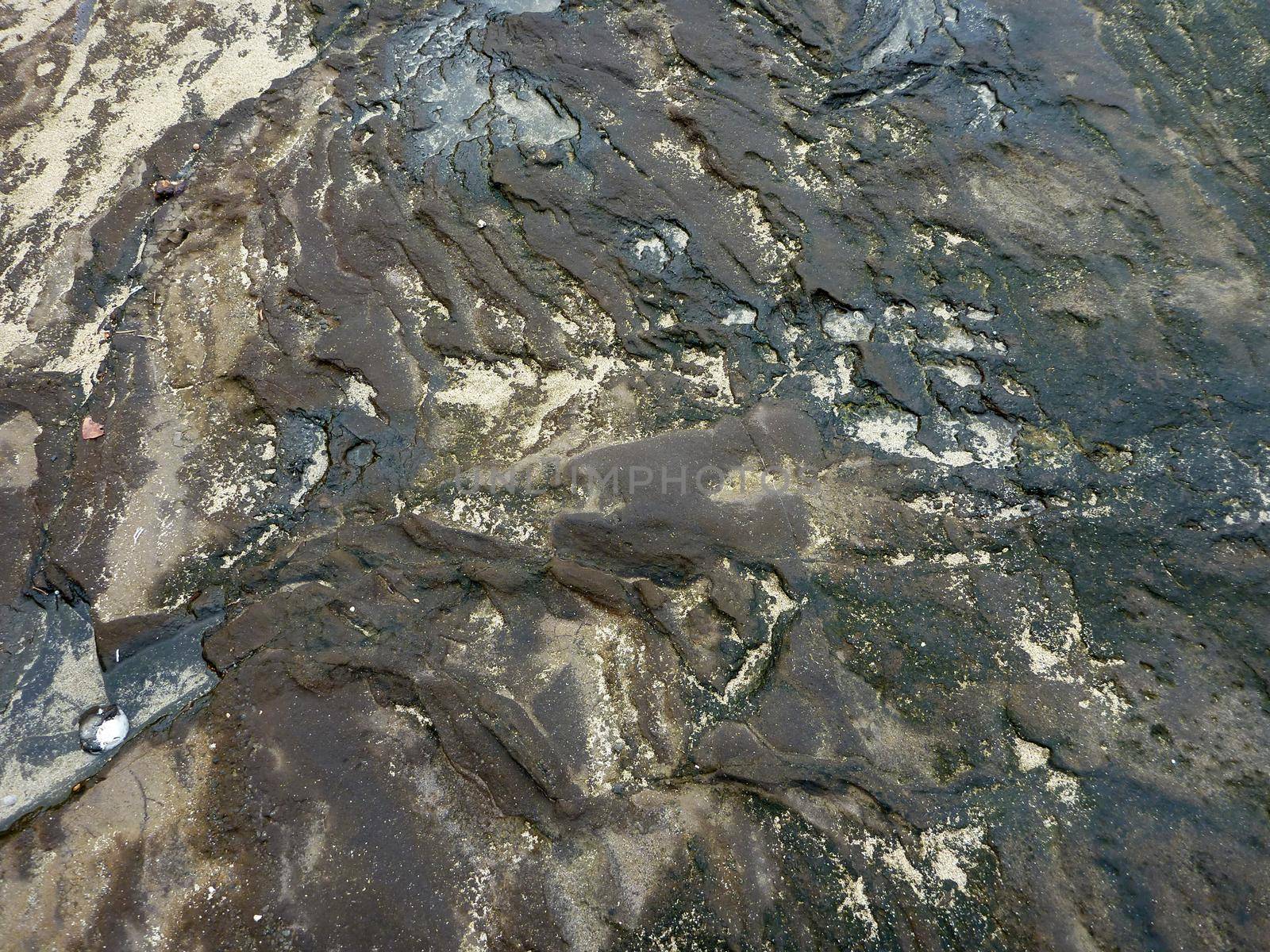 Cracked weathered Lava rock with bits of sand and puddles of water on top on Oahu's Diamondhead beach.         