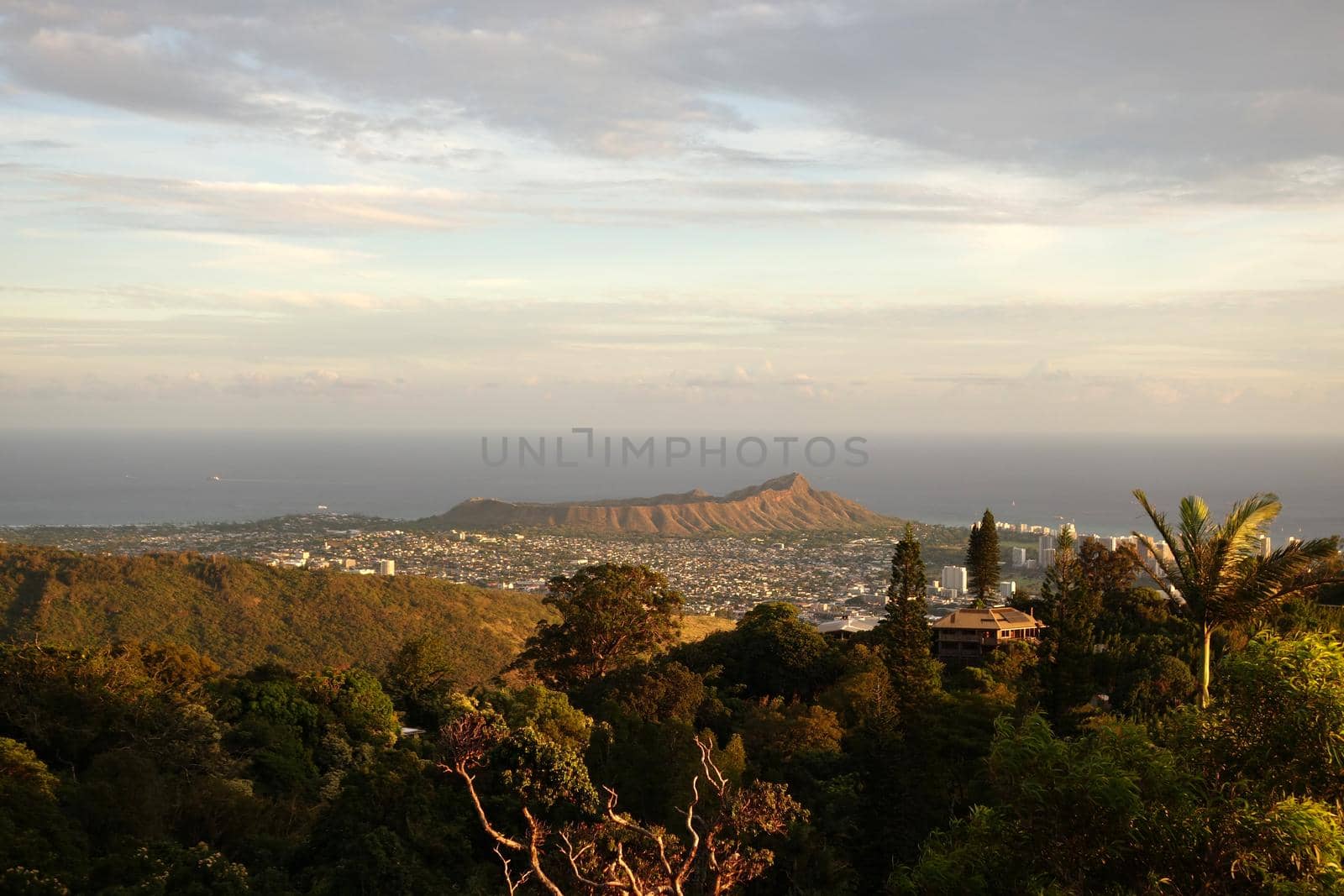 Diamondhead and the city of Honolulu, Kaimuki, Kahala, and oceanscape on Oahu on a nice day at dusk viewed from high in the mountains with tall trees in the foreground.