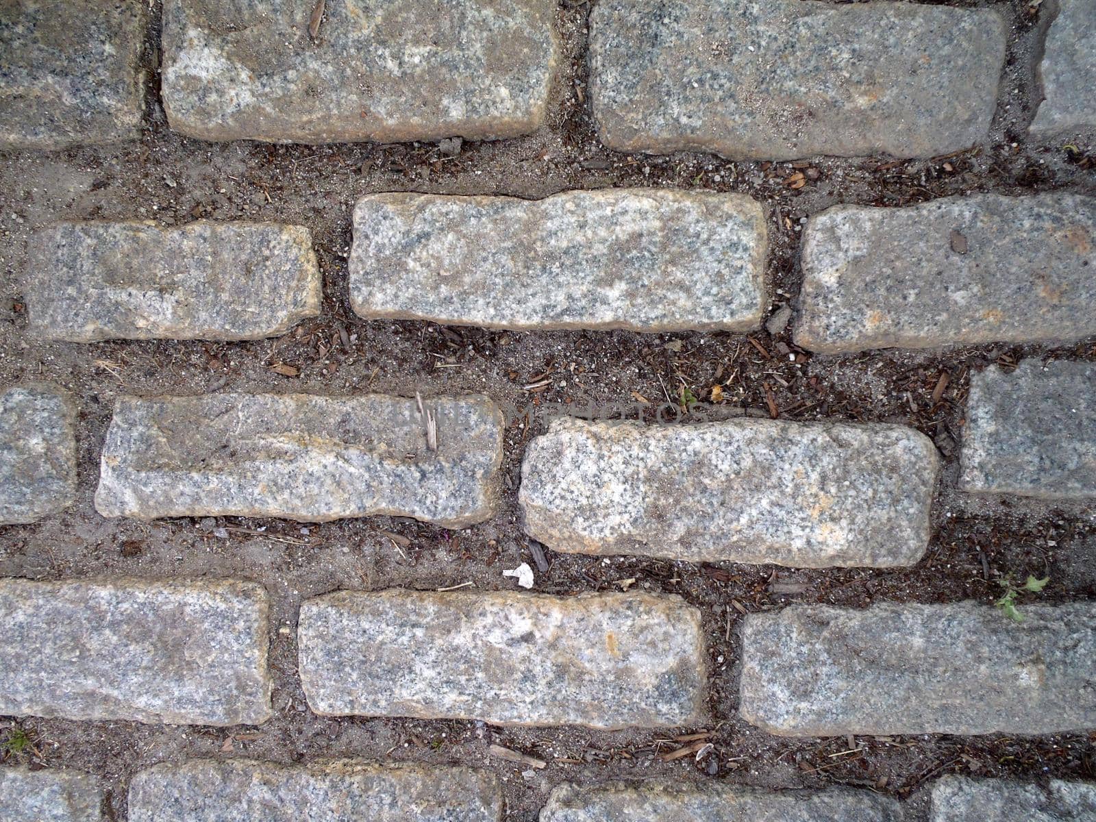 Looking down at Gray Cobble stone path with bits of dirt.