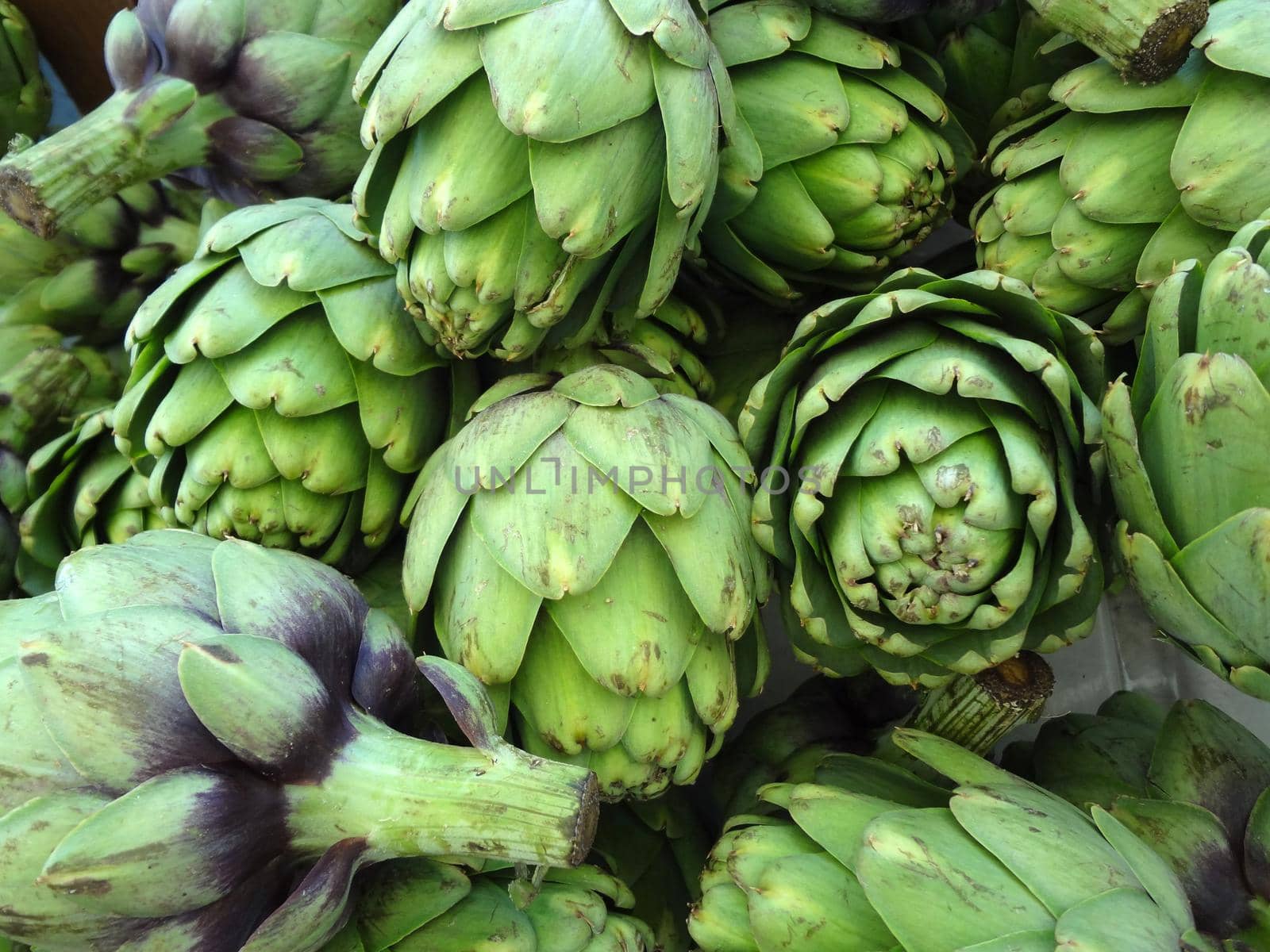 Close-up of Pile of Artichoke on display at a farmers market in San Francisco, CA 