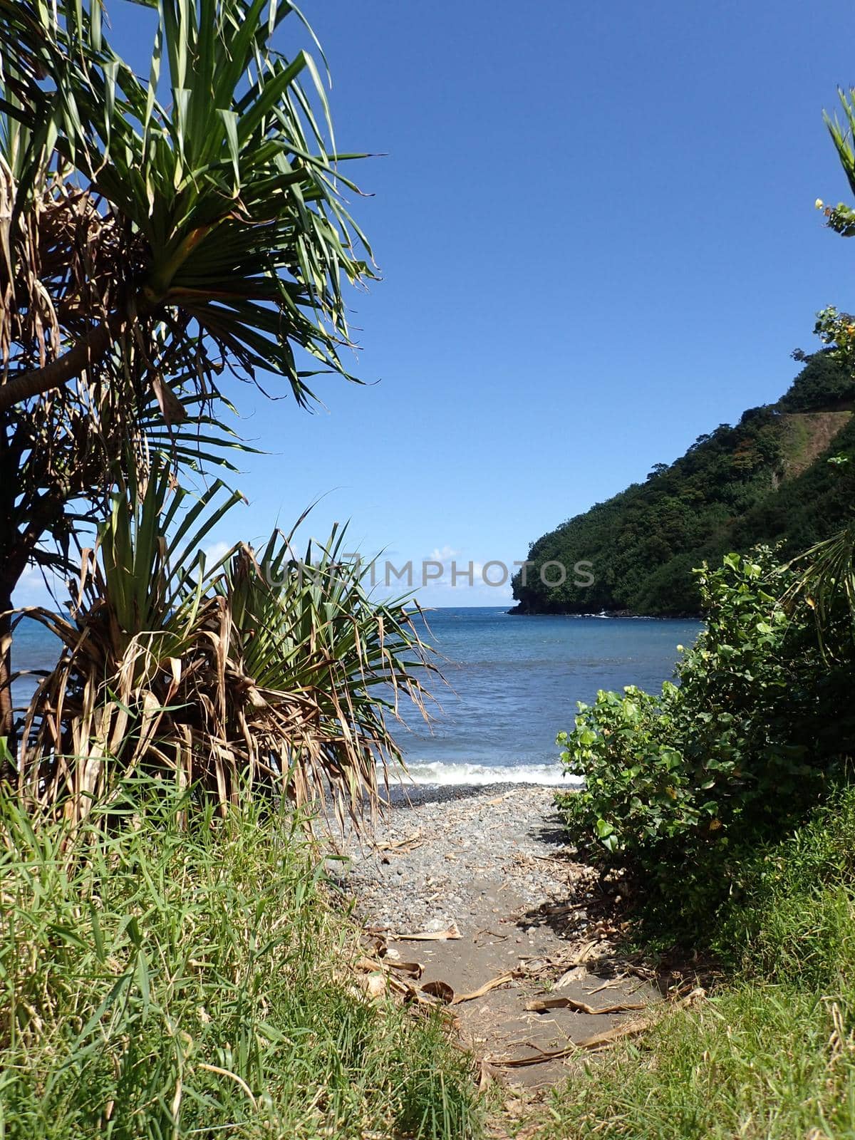 Path opens to black sand beach at Honomanu Park on the Road to Hana, Maui, Hawaii