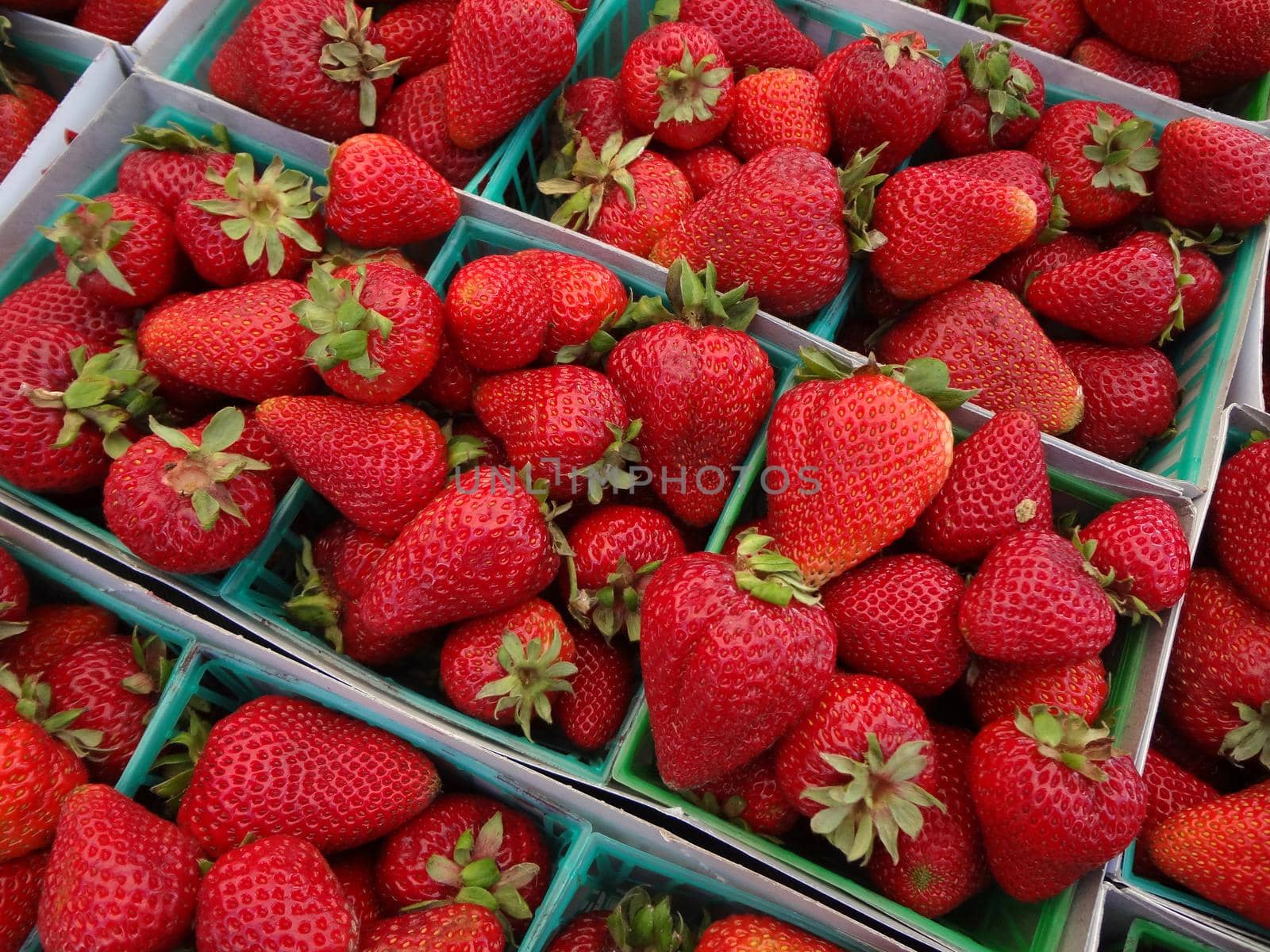 Strawberries displayed in square light blue plastic baskets by EricGBVD