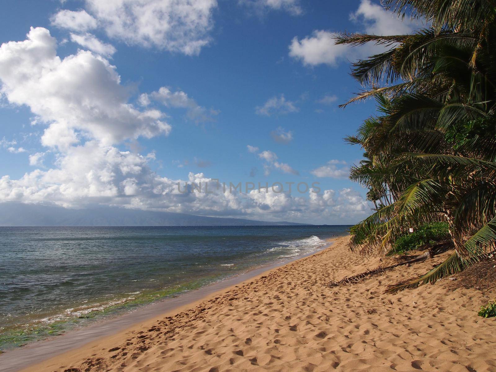 Kaanapali Beach with gentle waves and Coconut trees. Boat and Island of Molokai can be seen in the distance on Maui, Hawaii.