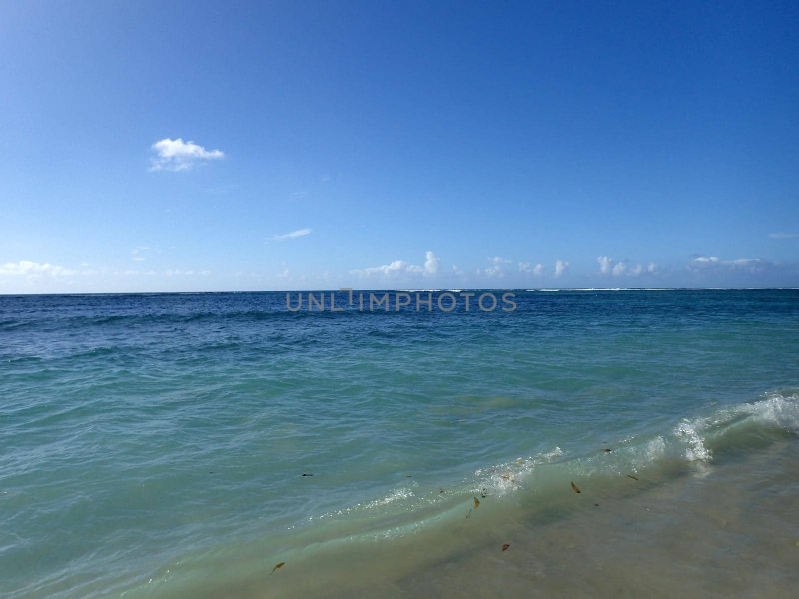 Calm water of the pacific ocean on the shore of Kahala Beach as small wave full of leafs breaks by EricGBVD