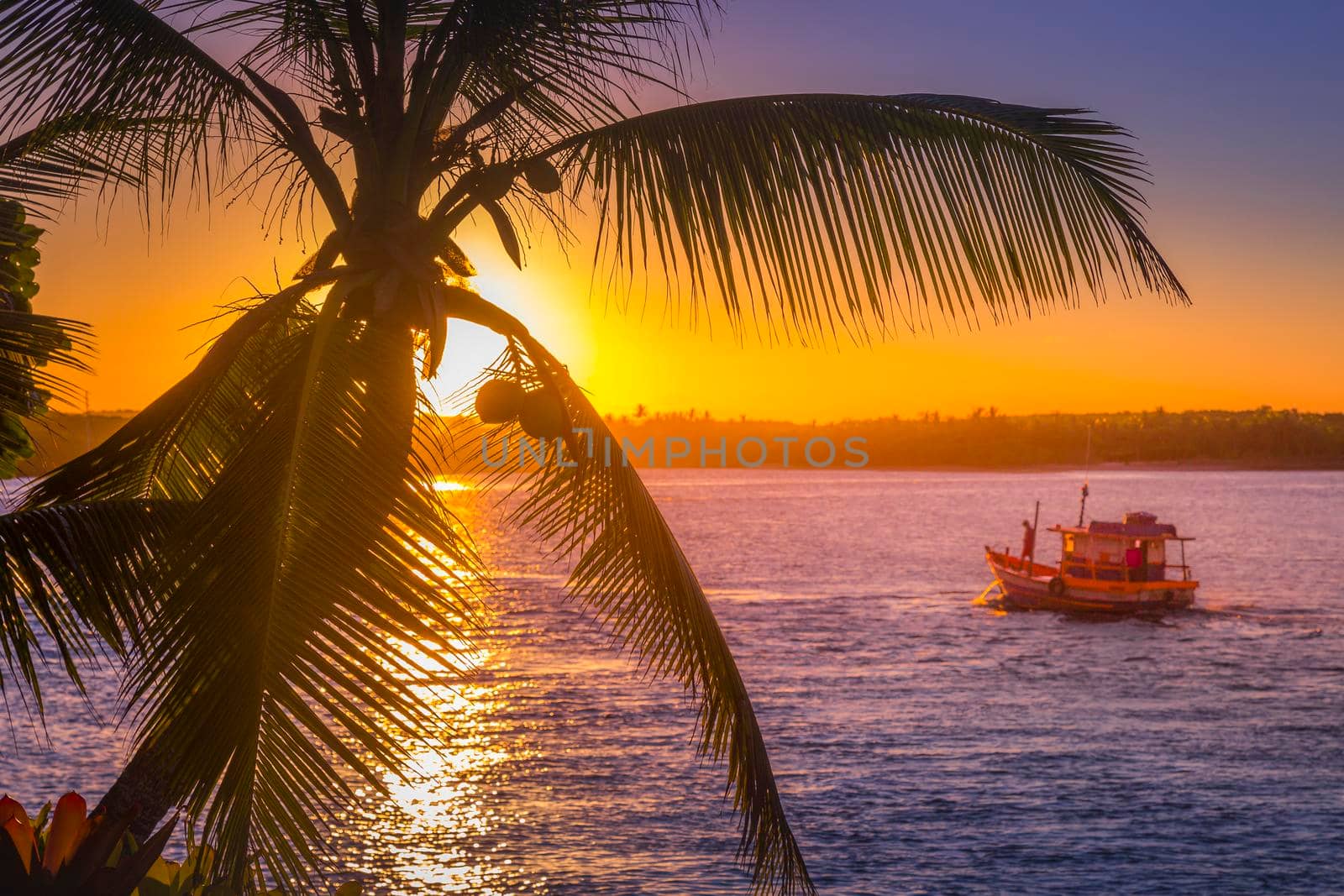 Fishermen motor boat and idyllic palm beach at sunset in Porto Seguro, Bahia. High quality photo