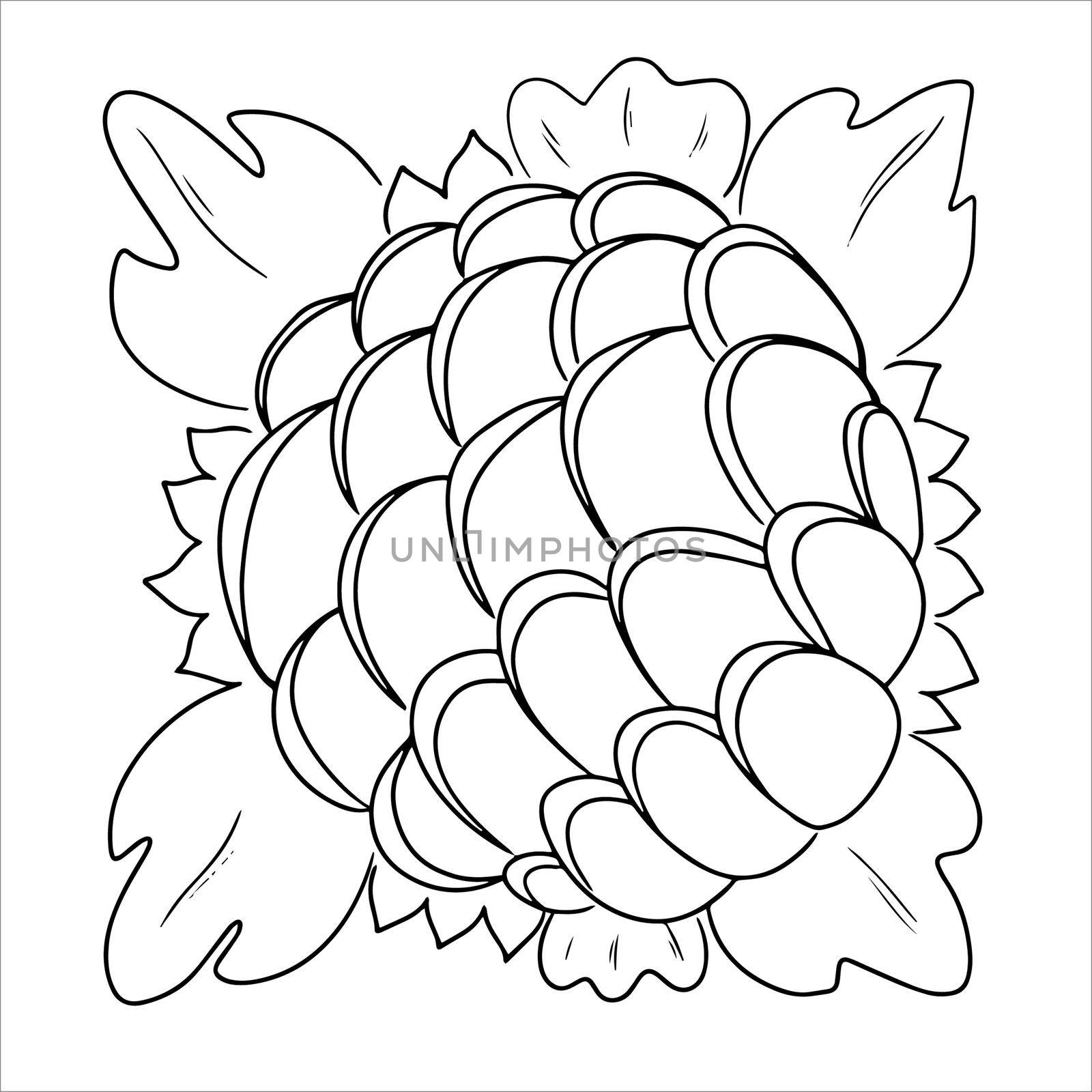 Oneline drawing flower isolated on white. Hand drawn illustration in minimalism style