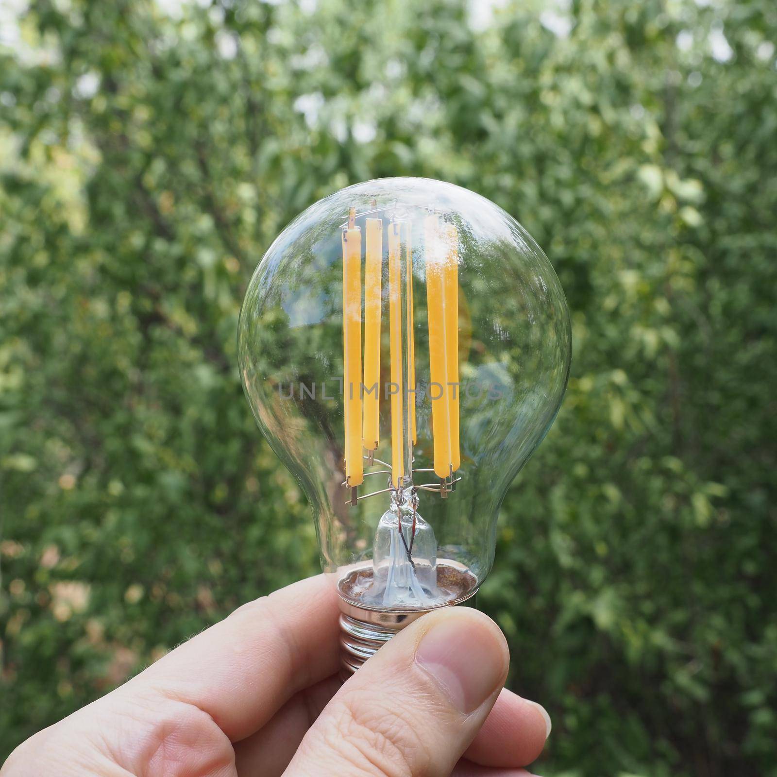 modern energy saving led bulb against green leaves