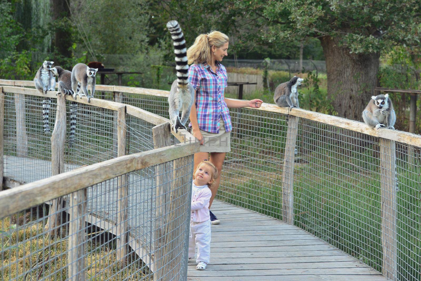 Mother and daughter playing with fluffy lemurs