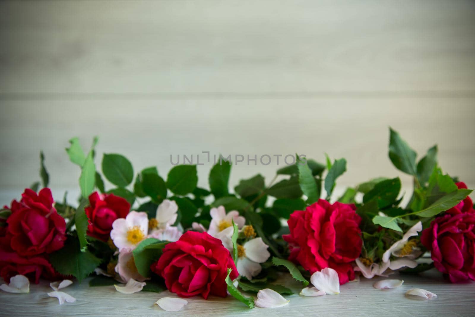 beautiful background of many red roses on a light wooden