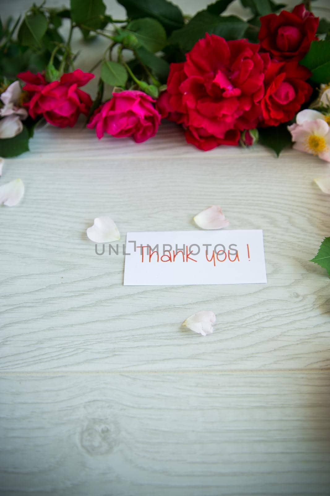 beautiful background of many red roses on a light wooden