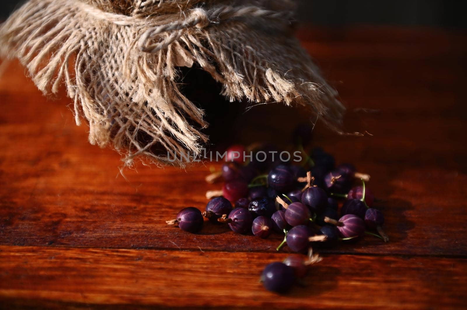 Focus on ripe ready-to-eat purple gooseberries from an organic farm, scattered on a rustic wooden table next to a jar of homemade jam, with burlap on the lid. Canned food, canning concept. Still life