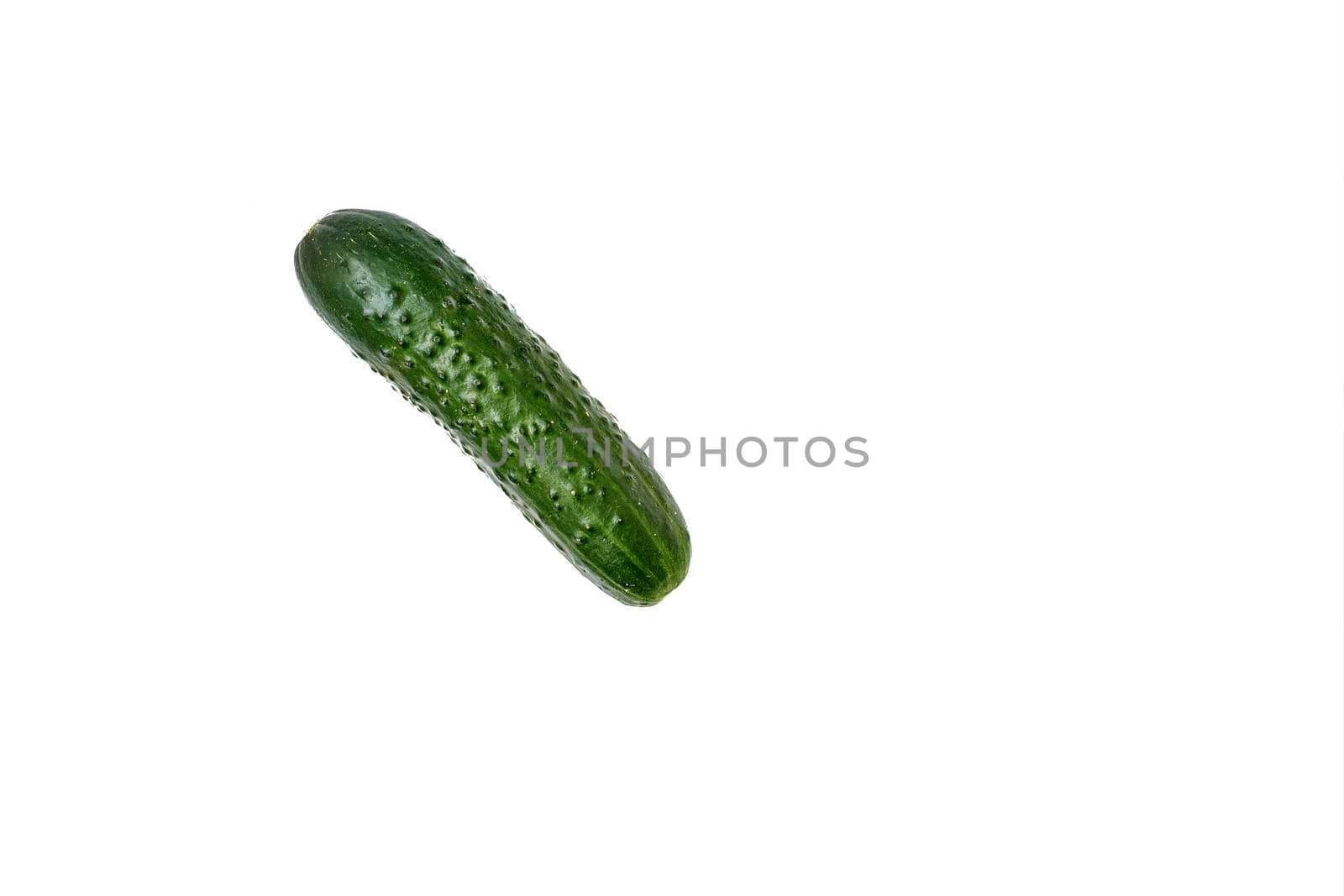 Green fresh cucumber for salad isolated on white by jovani68