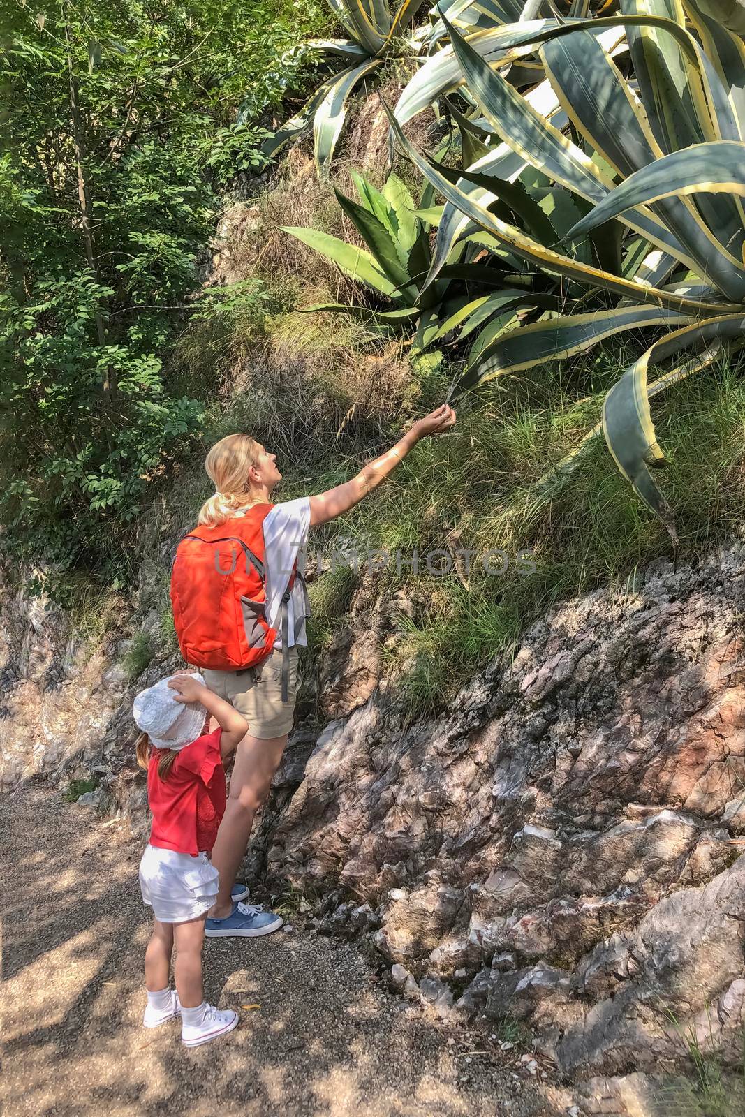 Mother and daughter saw agave in the forest.