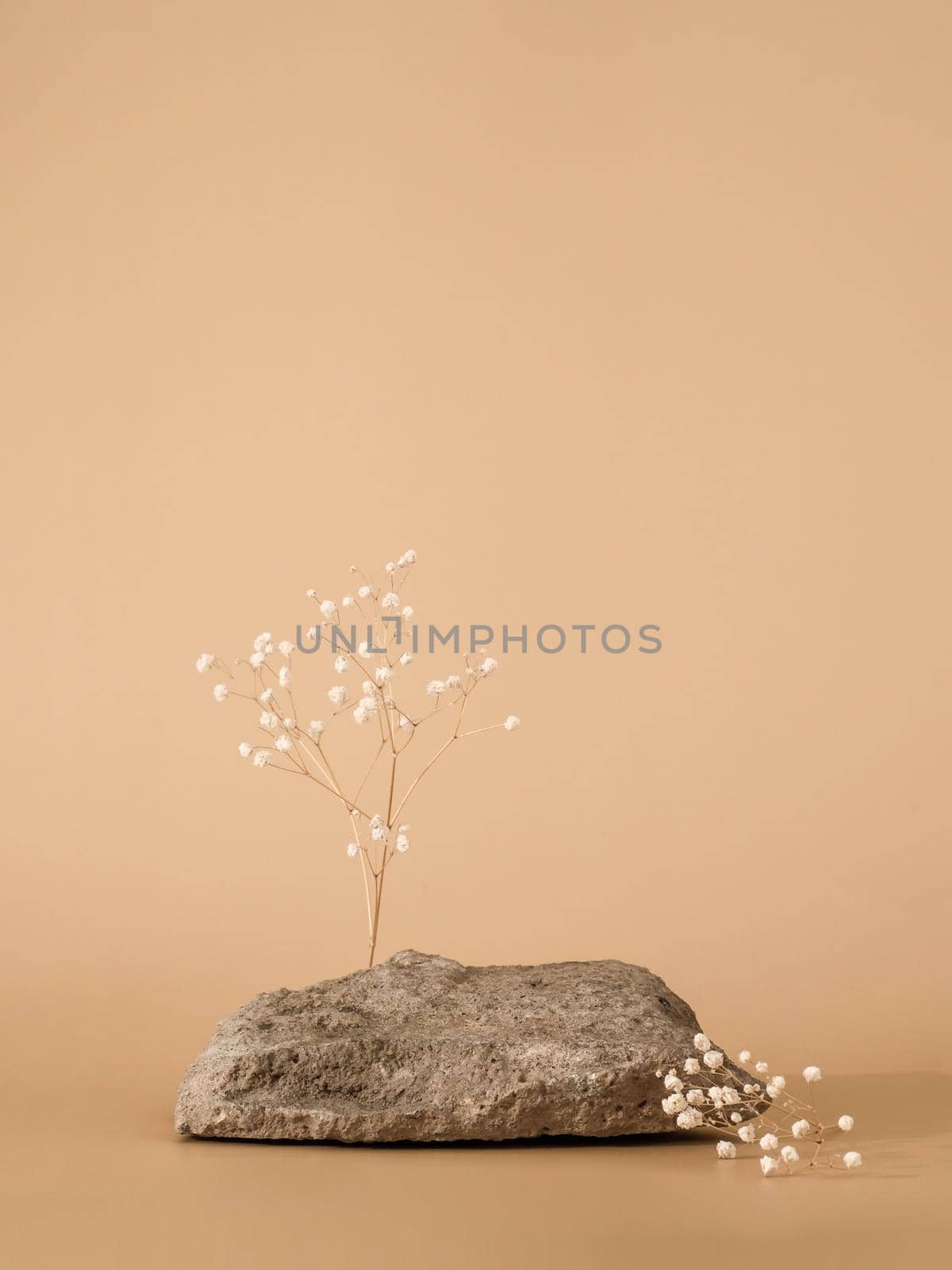 Mockup geometric shape podium. Stone shape with gypsophila flowers over pastel beige background. Can use as perfume and cosmetic mock up. Copy space. Vertical. Natural rock podium