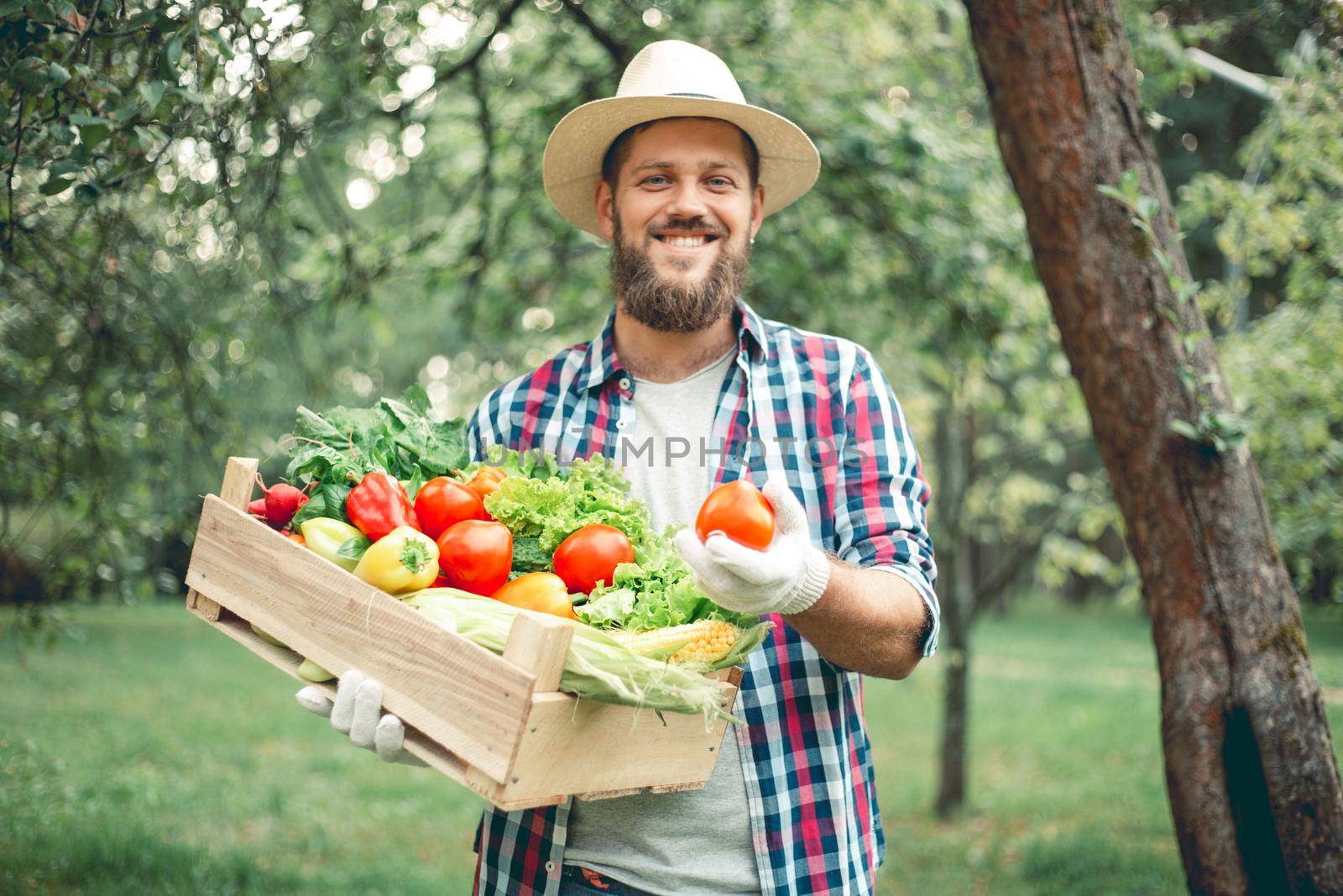 Happy man farmer with vegetables by destillat