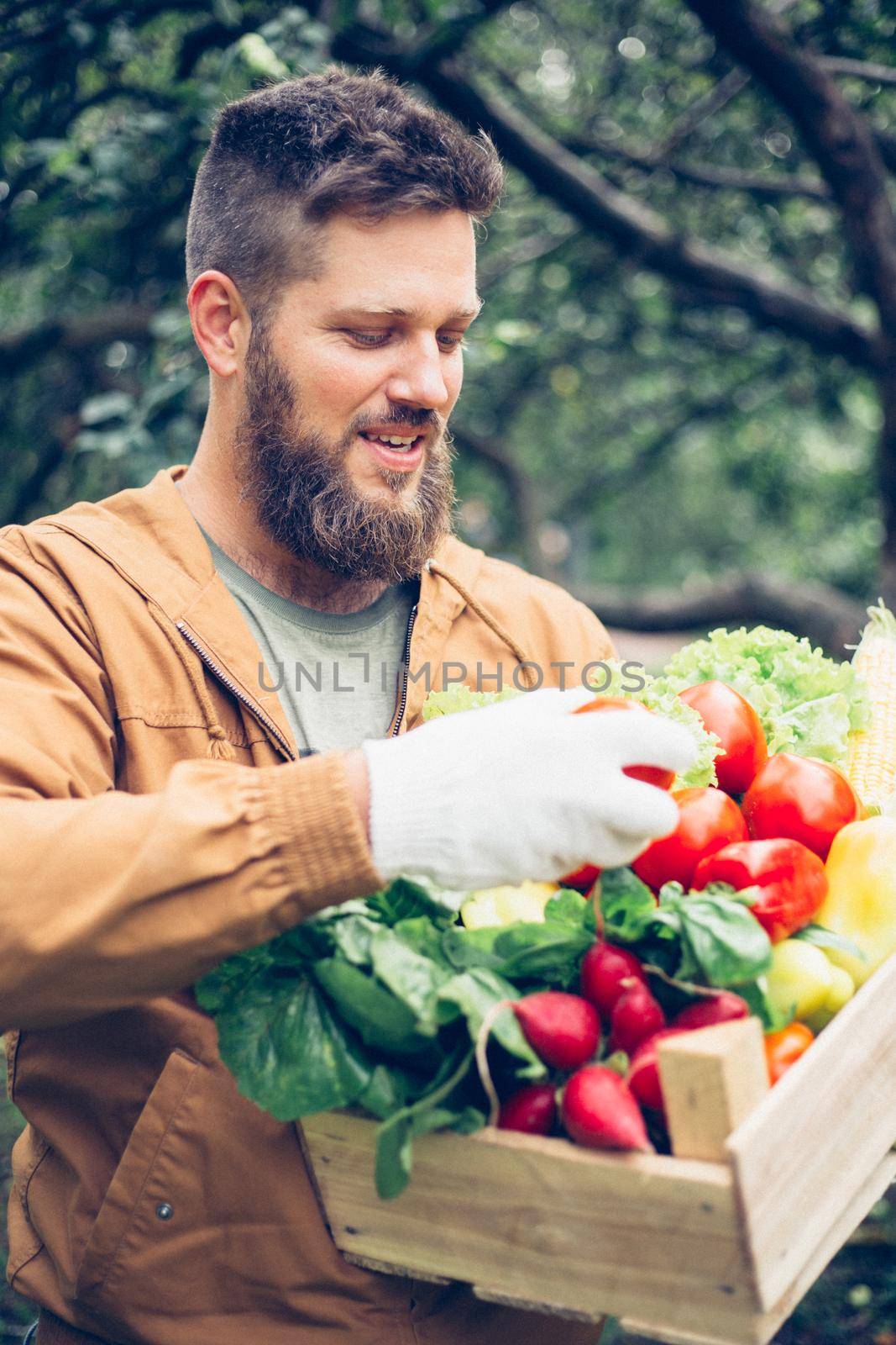Happy proud smiling mid adult handsome bearded farmer holding wooden box of vegetables in garden, autumn summer organic harvest concept