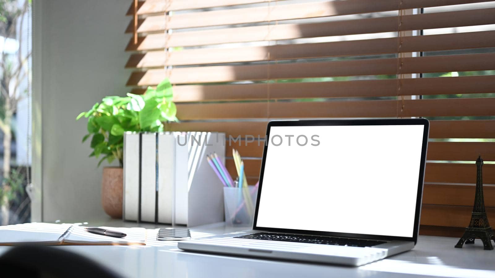 Computer laptop, books, coffee cup and houseplant beside the window with sunlight shine through the curtain.