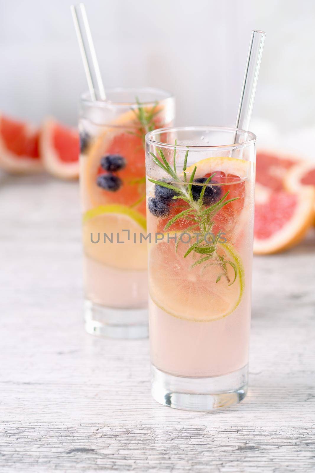 Paloma with blueberries and citrus by Apolonia