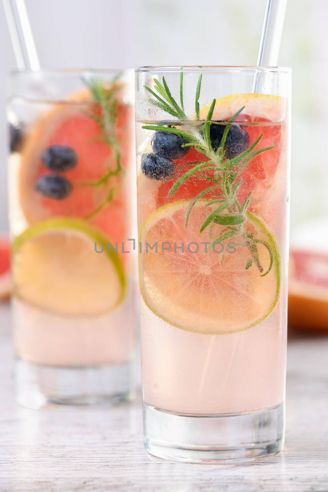 Paloma with blueberries and citrus by Apolonia