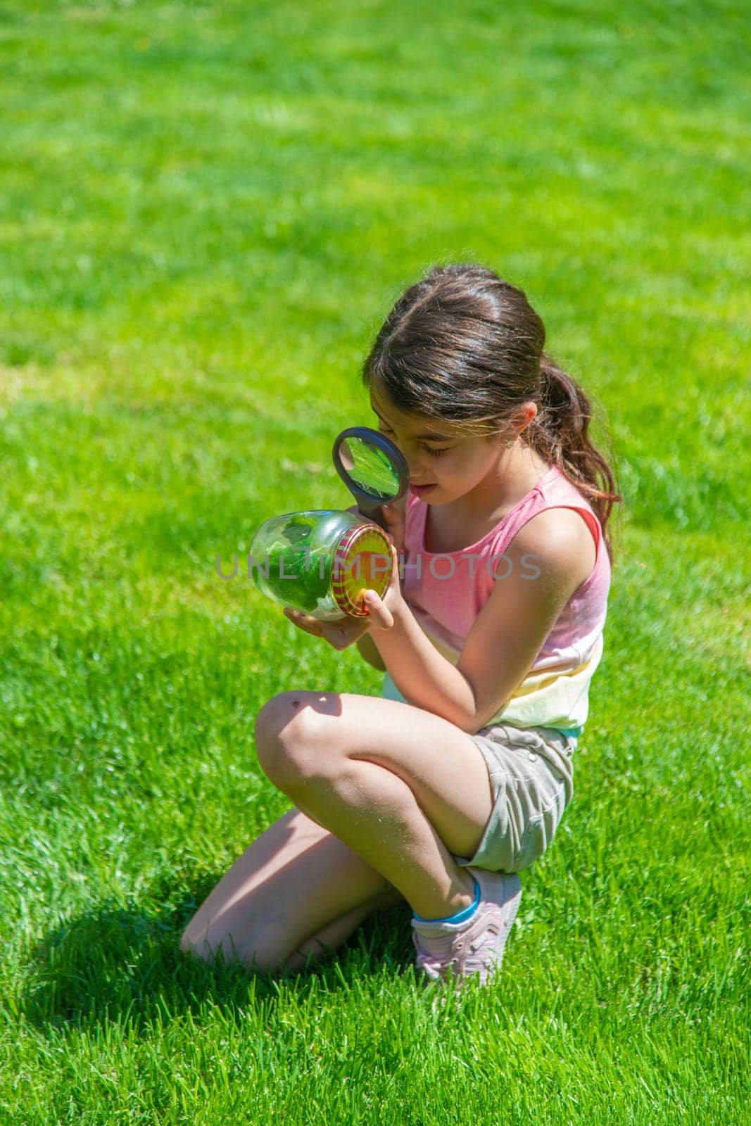 look in a magnifying glass butterfly sits on flowers. selective focus. by mila1784