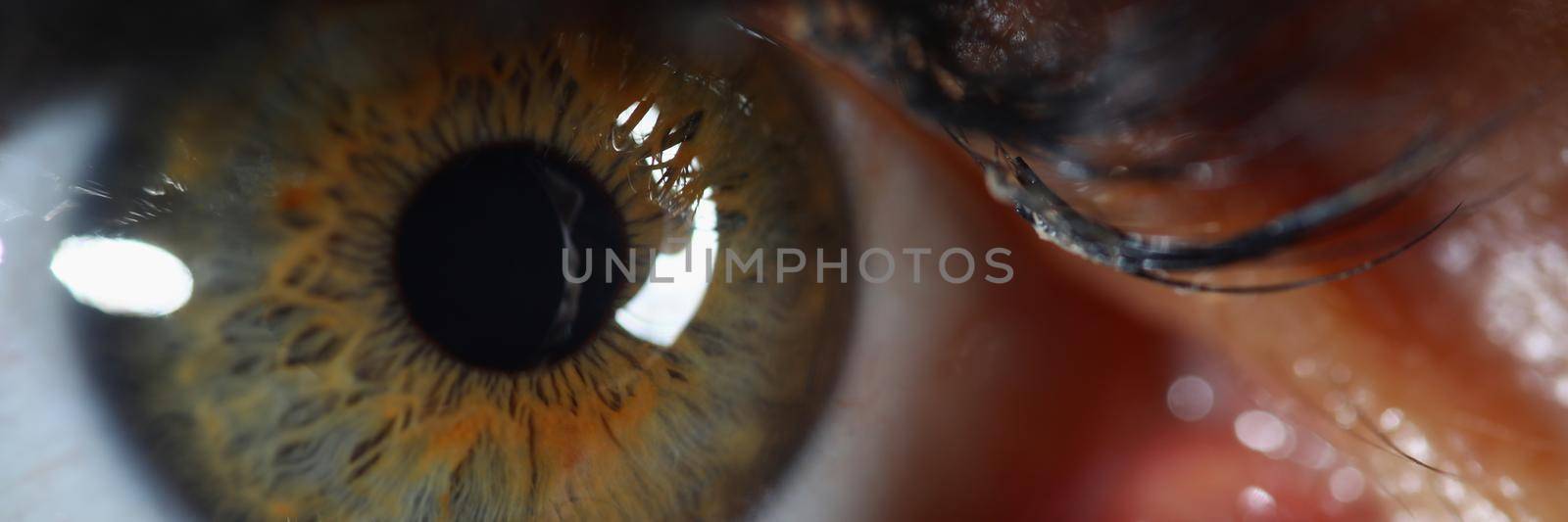 Close-up of womans eye with mascara on it, extreme macro shot of female sight organ, capillaries and imperfections. Ophthalmology checkup, medicine concept