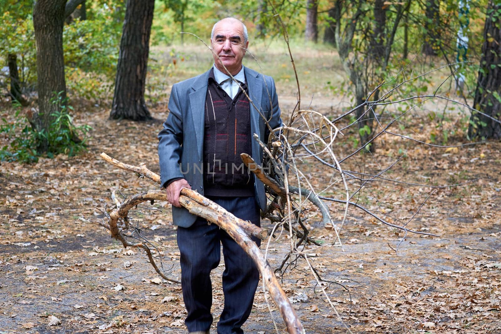 An elderly cheerful man cleans the forest park from branches.Collects firewood by jovani68