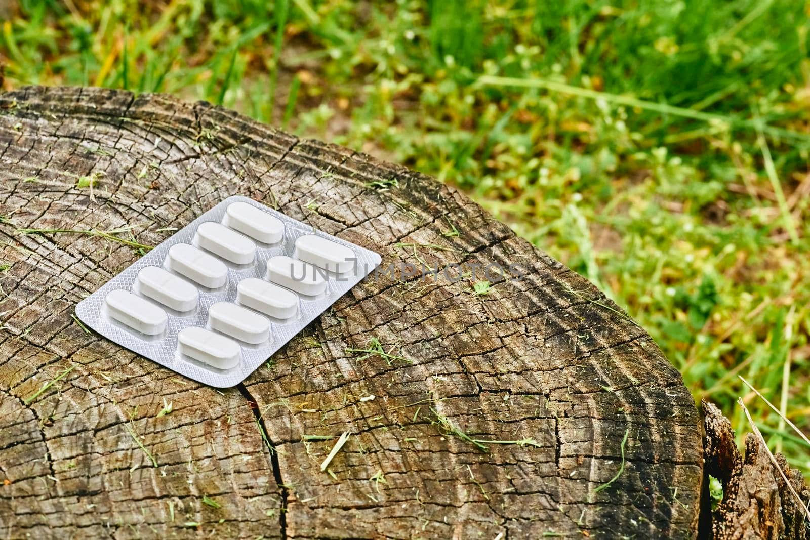 White pills in blister on green grass with stump. by jovani68