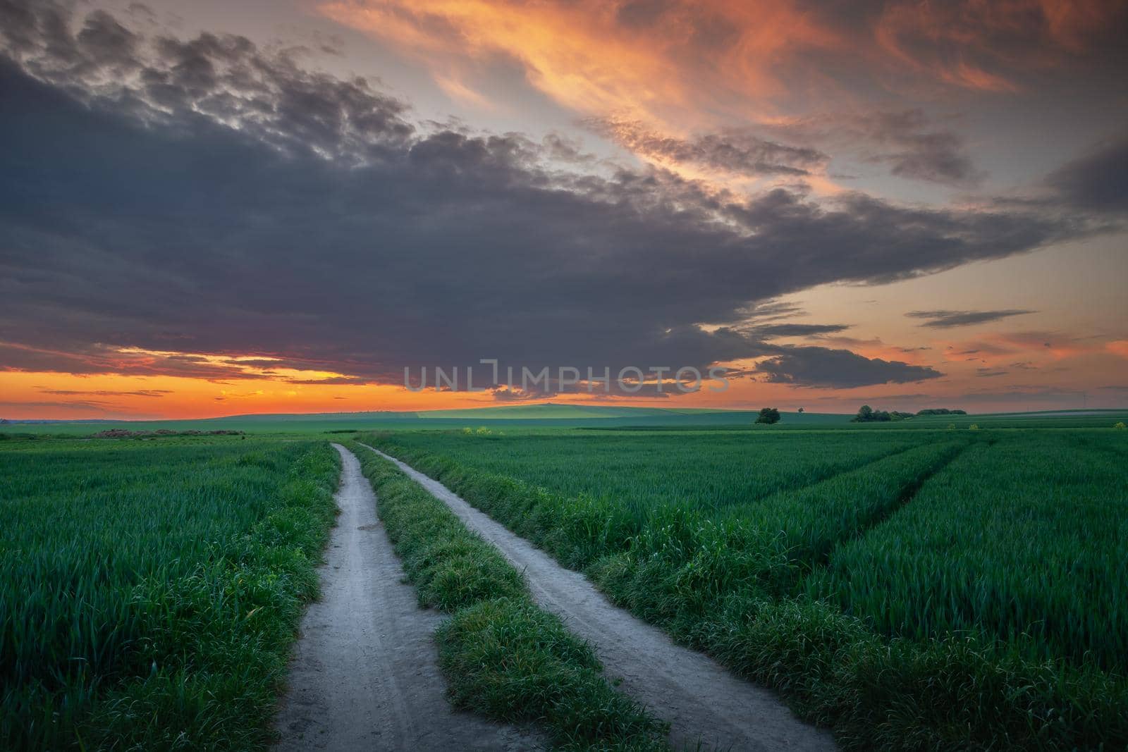 Dirt road through green fields and sky during beautiful sunset