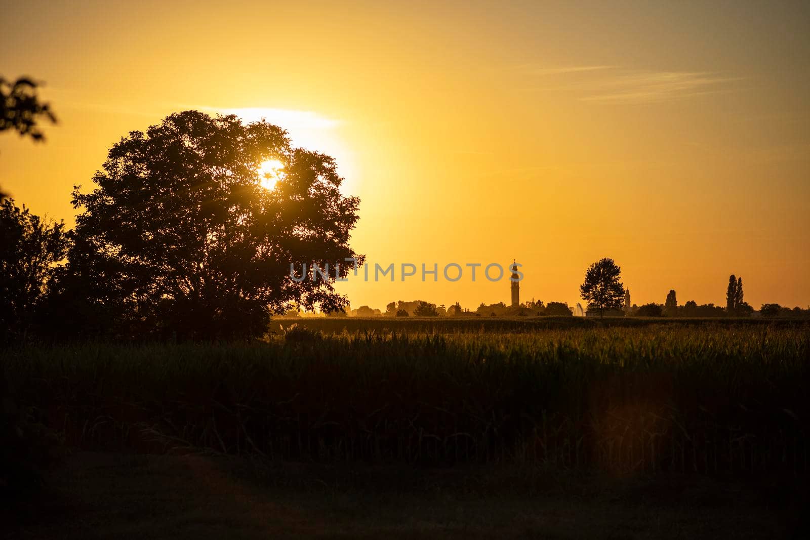 Orange sunset landscape country field scene