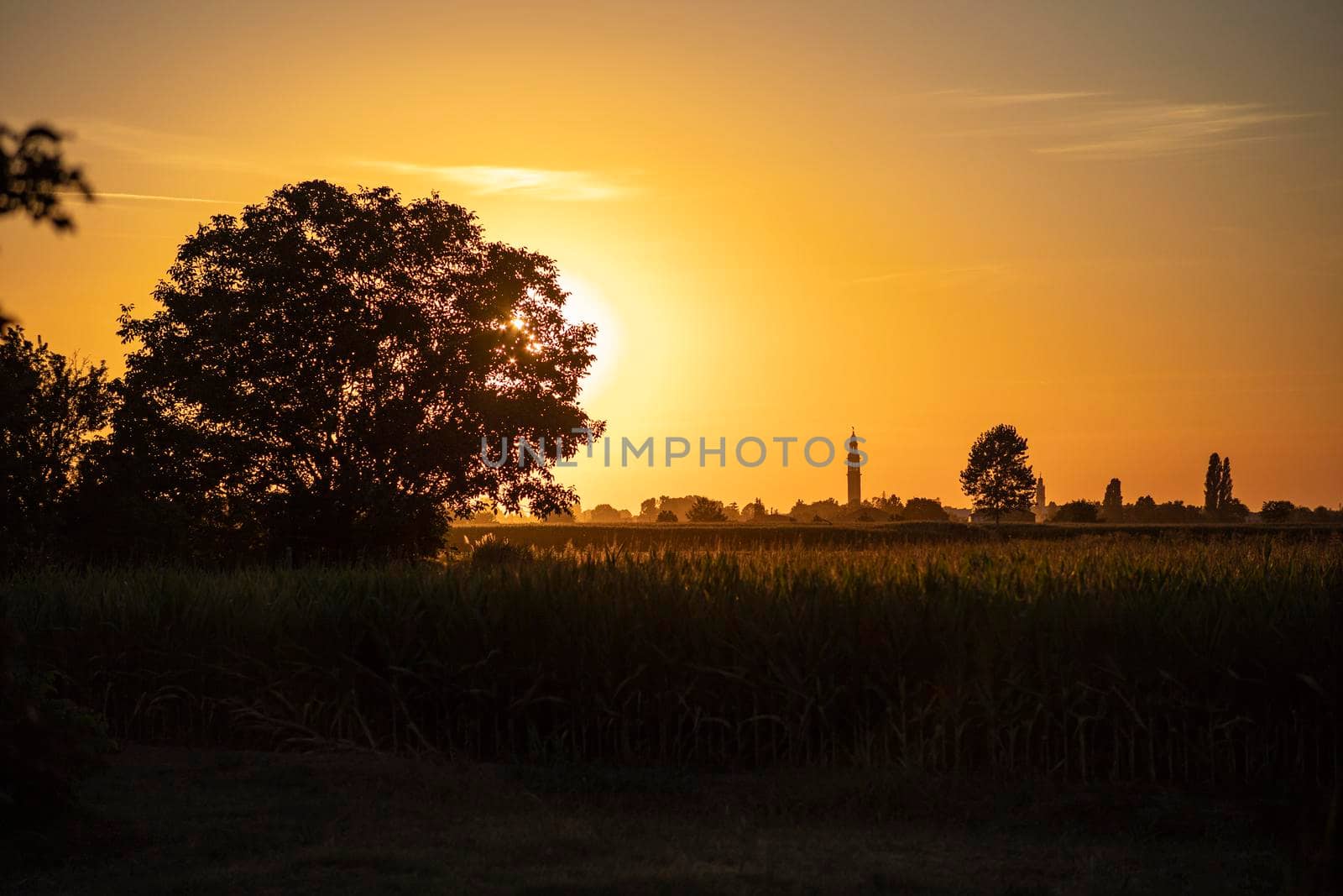 Orange sunset landscape country field by pippocarlot