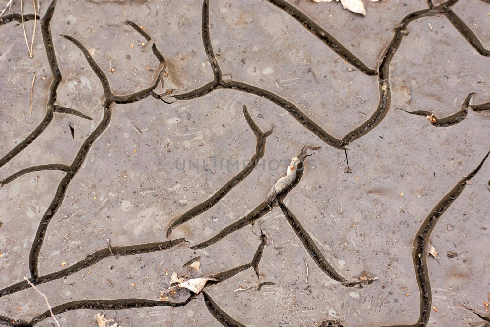 Top view on the cracked mud slime, natural abstract background