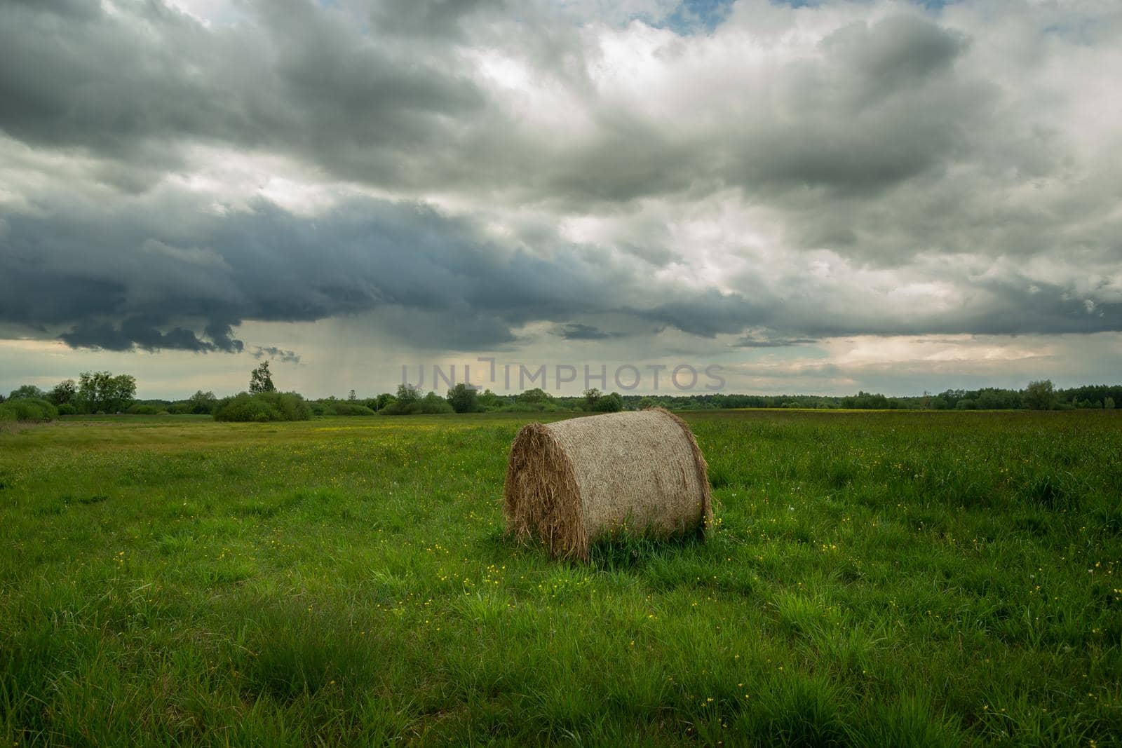 Hay bale in meadow and cloudy sky, spring day