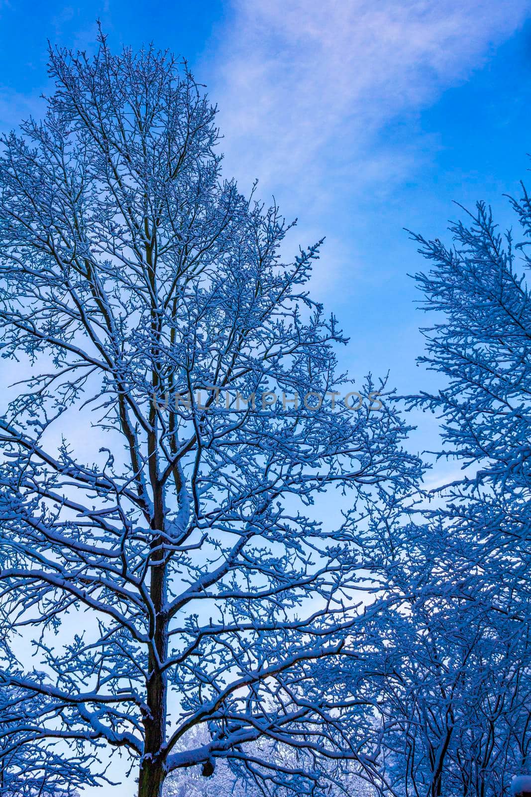 Amazing beautiful snowy winter snow and ice landscape panorama view with trees blue sky and town in Leherheide Bremerhaven Bremen Germany.