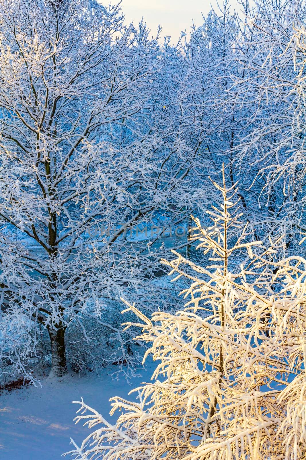 Amazing beautiful snowy winter snow and ice landscape panorama view with trees blue sky and town in Leherheide Bremerhaven Bremen Germany.