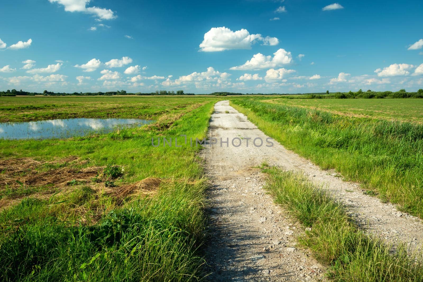 A dirt road through green meadows and blue sky, a bright summer day