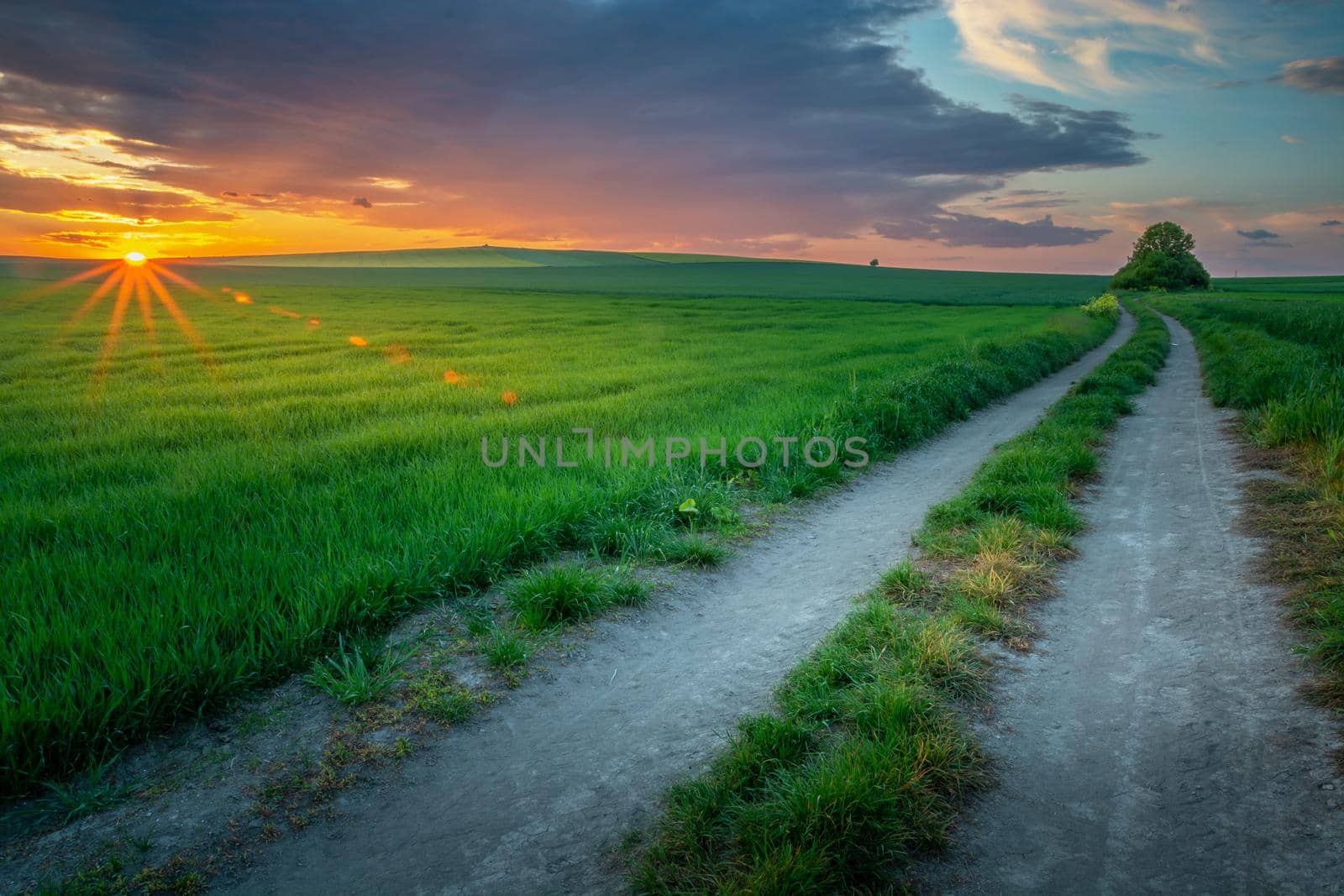 Wonderful evening rural landscape, fields and road after sunset, Staw, Poland