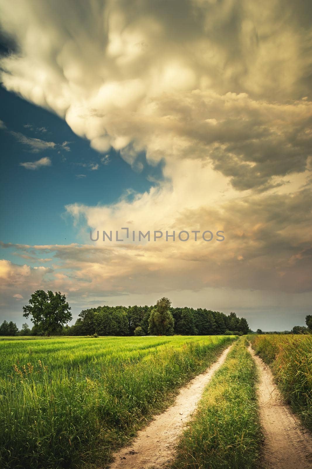 Rural road through the field and fantastic clouds on the sky, summer landscape