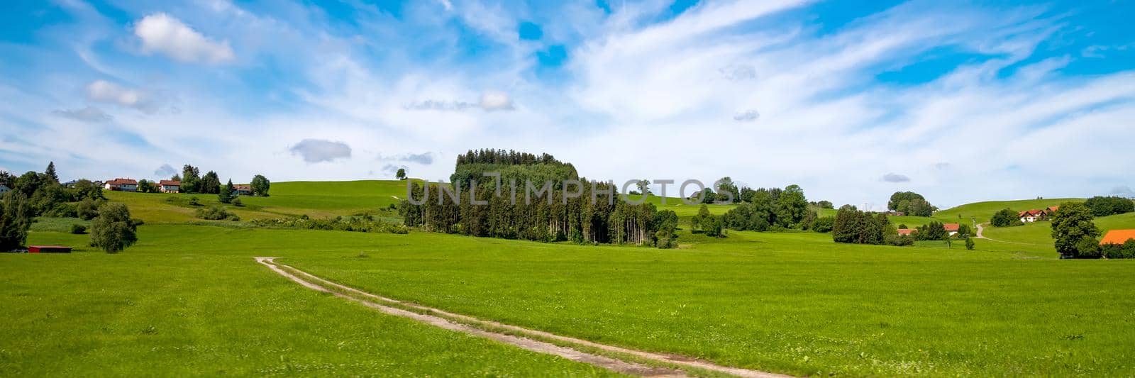 Panoramic view of green countryside and country road
