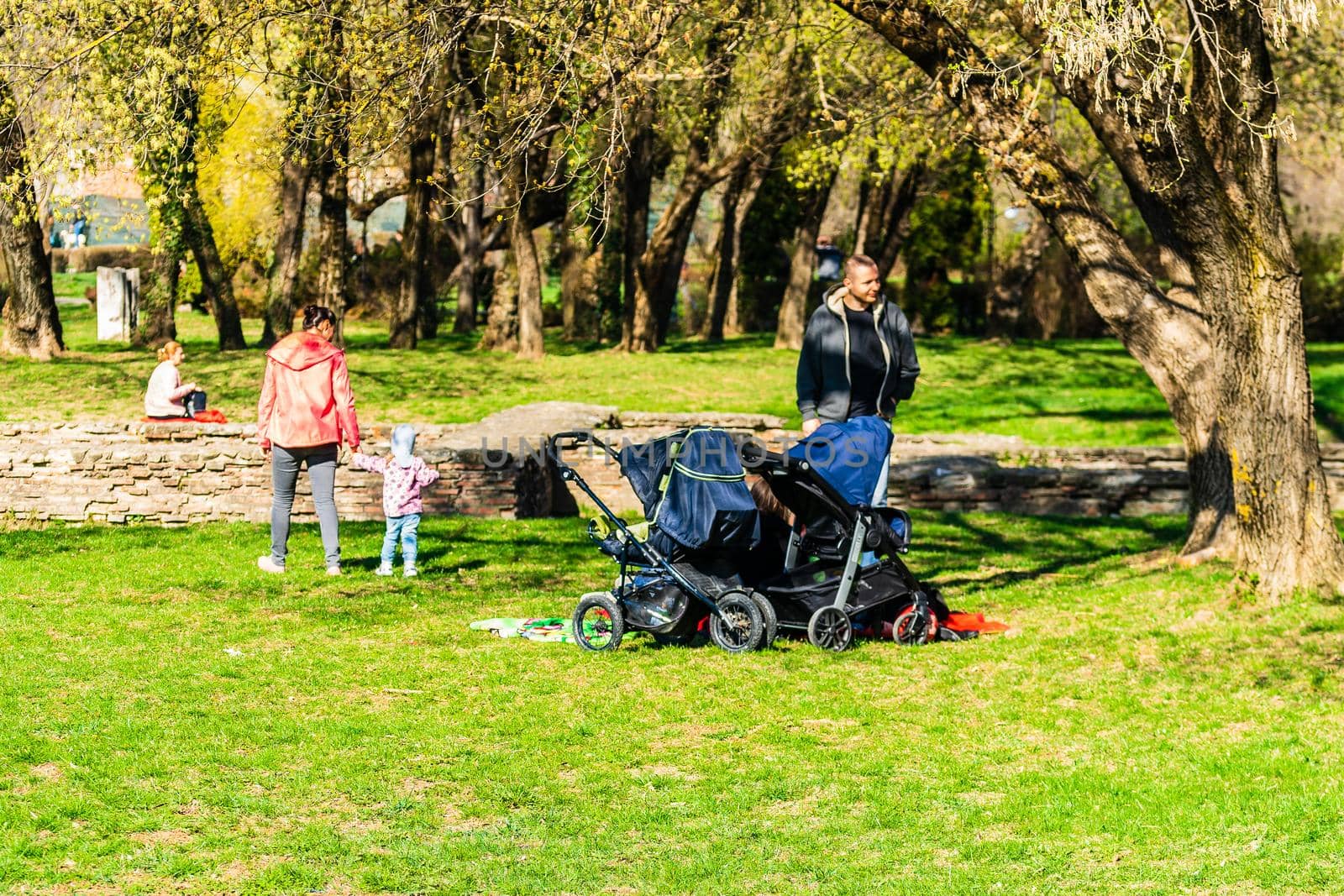 Targoviste, Romania - 2019. Group of people on the grass in the central park.