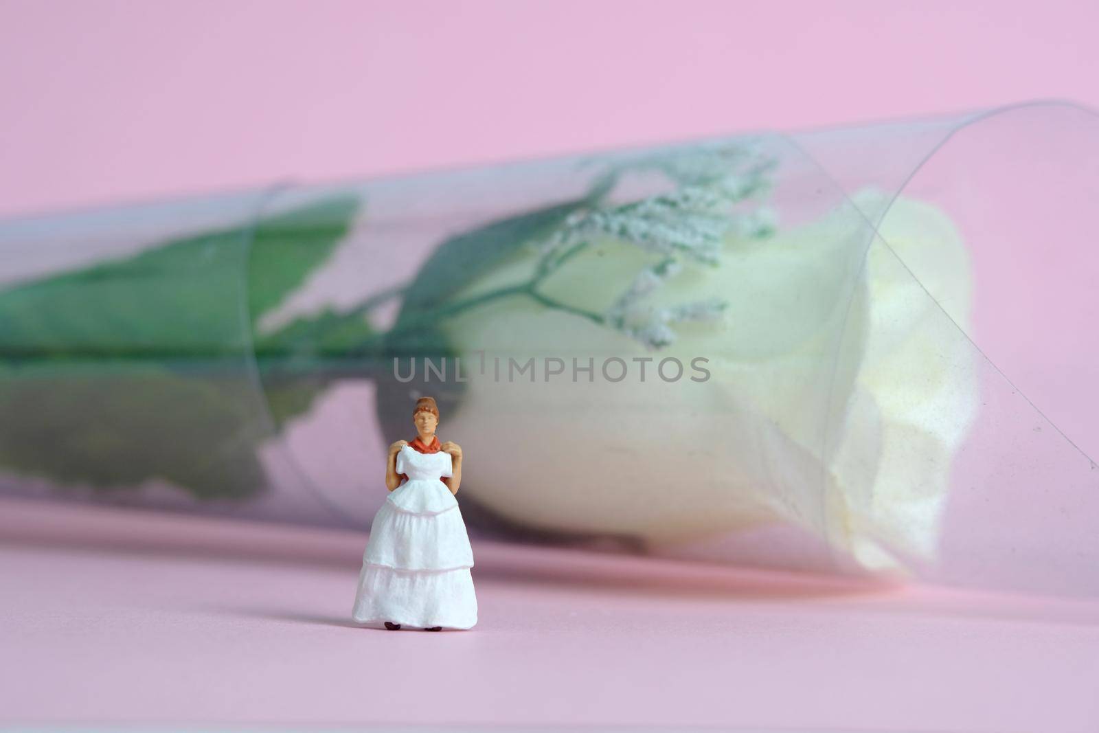 Women miniature people fitting wedding dress standing in front of white rose flower, isolated pink background. Image photo