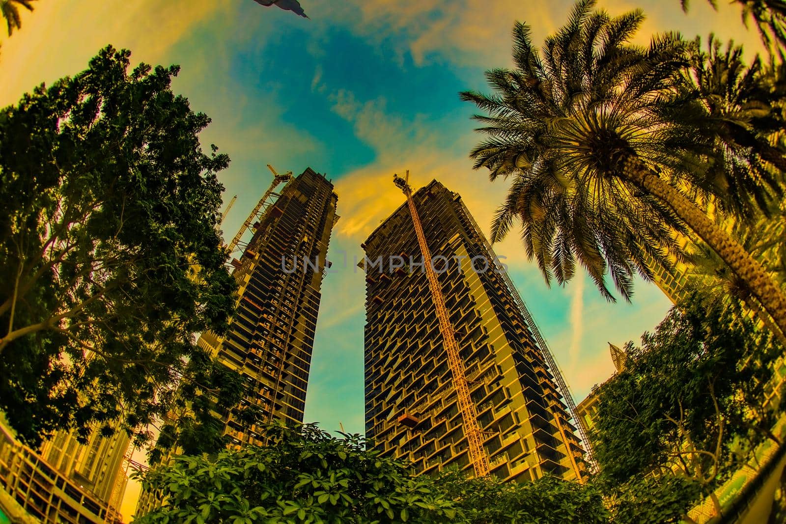 Dubais morning ray and high-rise buildings (United Arab Emirates). Shooting Location: Dubai