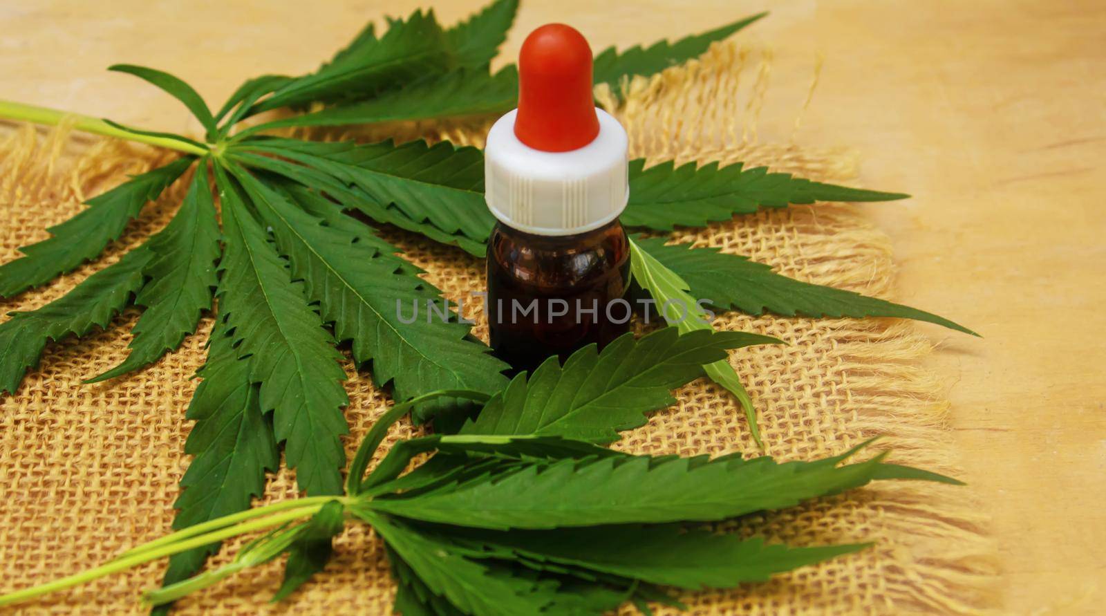 Cannabis essential oil in a small bottle. Selective focus. by mila1784