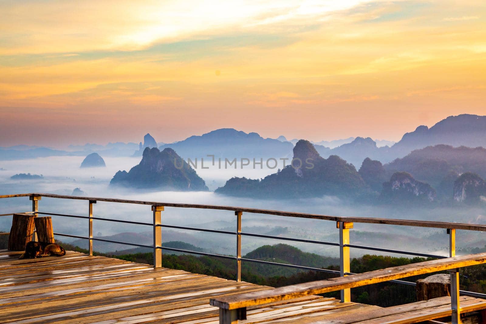 Rice terraces near Doi Tapang viewpoint in Chumphon, Thailand by worldpitou